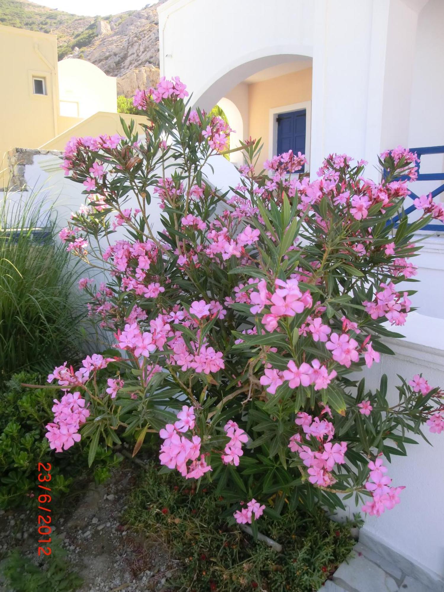 Aegean View Hotel Kamári Екстериор снимка