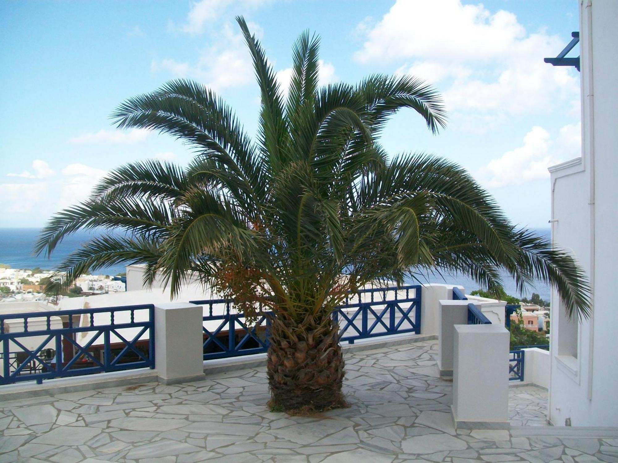 Aegean View Hotel Kamári Екстериор снимка